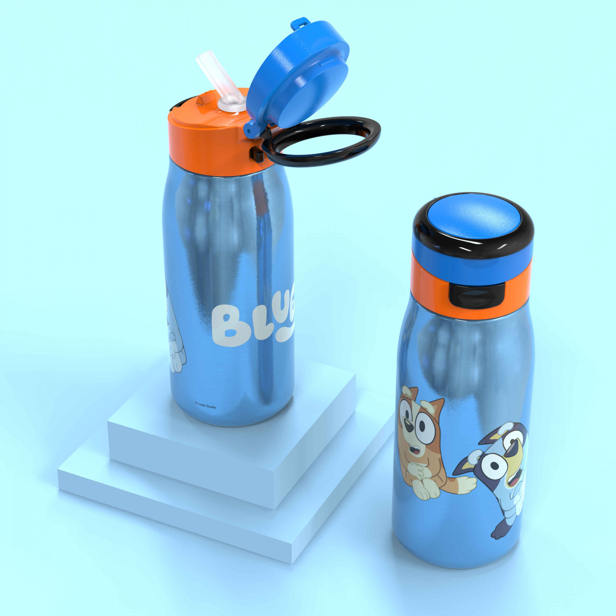 Bluey and Bingo 13.5oz Stainless Steel Double Walled Water Bottle